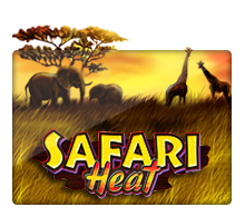 Safari Heat slotxo pgslot 168 vip