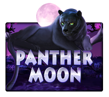 Panther Moon slotxo pgslot 168 vip