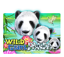 Wild Giant Panda slotxo pgslot 168 vip