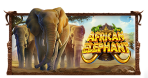 African Elephant Pragmatic Play Pgslot 168 vip