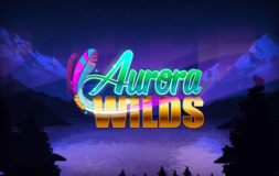 Aurora Wilds Microgaming pgslot 168 vip