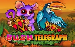 Bush Telegraph Microgaming pgslot 168 vip