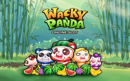 Wacky Panda Microgaming pgslot 168 vip