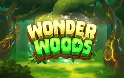 Wonder Woods Microgaming pgslot 168 vip