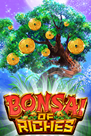 Bonsai of Riches Live22 pgslot168 vip