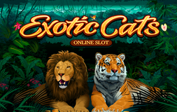 Exotic Cats Microgaming pgslot 168 vip