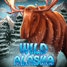 Wild Alaska KA GAMING pgslot168 vip