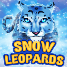 Snow Leopards KA GAMING pgslot168 vip