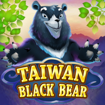 Taiwan Black Bear KA GAMING pgslot168 vip