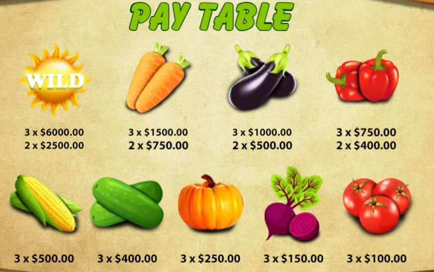 Veggies Plot KA GAMING pgslot168 vip เว็บตรง