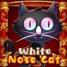 White Nose Cat KA GAMING pgslot168 vip