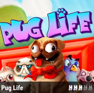 PUG LIFE Hacksaw Gaming pgslot168 vip