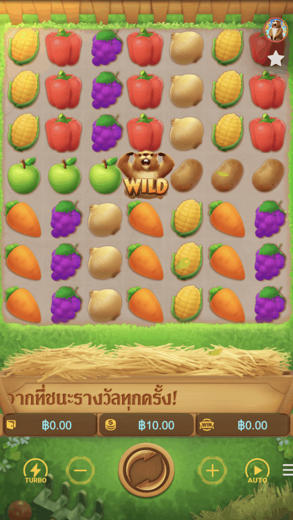 Groundhog Harvest PG SLOT pgslot168 vip ทดลองเล่น